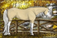 Horse Color:Silver Buckskin Roan Splash
