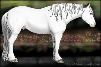 Horse Color:Bay Splash Tobiano