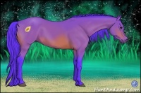 Horse Color:Watercolor Bay 