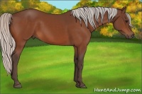 Horse Color:Silver Bay