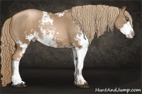 Horse Color:Liver Chestnut Pearl Sabino 