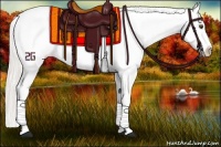 Horse Color:Silver Buckskin Dun Appaloosa 