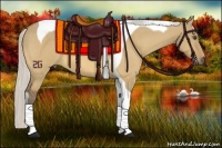 Horse Color:Silver Buckskin Dun Tobiano 