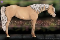 Horse Color:Silver Amber Champagne Frame 