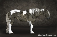 Horse Color:Chocolate Palomino Ice Tobiano Rabicano 