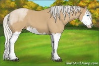 Horse Color:Silver Buckskin Roan Splash