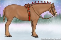 Horse Color:Chestnut Splash 