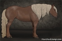 Horse Color:Liver Chestnut Sabino