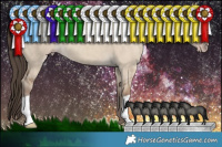 Horse Color:Classic Champagne Dun 