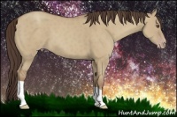 Horse Color:Classic Champagne Dun