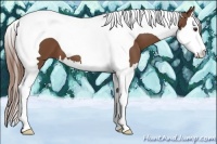 Horse Color:Chestnut Splash Tobiano