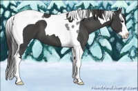 Horse Color:Smoky Black Sabino Splash Tobiano 
