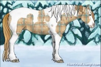 Horse Color:Plaid Chestnut Ice Sabino Splash Tobiano