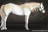 Horse Color:Plaid Liver Red Dun Pearl Onyx Splash and Plaid Liver Red Dun Pearl Onyx Splash