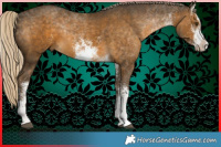 Horse Color:White Spotted Chocolate Palomino Mushroom