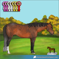 Horse Color:Brown 