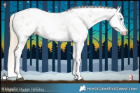 Horse Color:Chocolate Palomino Sabino Splash 