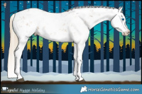 Horse Color:Chocolate Palomino Sabino Splash 