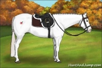 Horse Color:Chocolate Palomino Roan Dun Appaloosa