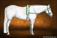 Horse Color:White Spotted Silver Bay Appaloosa