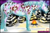 Horse Color:Thunderstruck Brown Sabino Splash Snowflake Varnish 