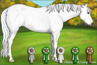 Horse Color:Gray Brown Dun Tobiano