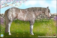 Horse Color:Liver Chestnut Ice 