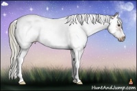 Horse Color:Liver Chestnut Sabino Splash Tobiano Frame Rabicano 