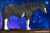 Horse Color:White Spotted Black  Brindle