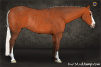 Horse Color:Silver Brown Sabino Rabicano 