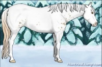 Horse Color:Classic Cream Champagne Splash Tobiano Appaloosa 