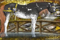 Horse Color:White Spotted Liver Chestnut 