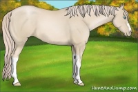 Horse Color:Palomino Pearl 