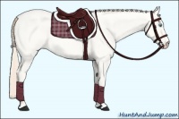 Horse Color:Perlino Roan Dun Rabicano