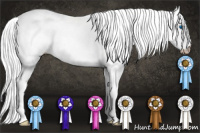 Horse Color:Gray Smoky Creme Splash Tobiano Rabicano