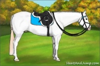 Horse Color:Buckskin Tobiano Appaloosa