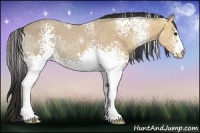 Horse Color:White Spotted Buckskin Ice