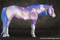 Horse Color:Watercolor White Spotted Bay Onyx Splash