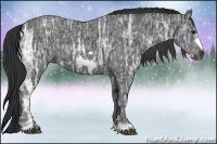 Horse Color:Black Ice Frame 