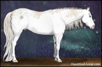 Horse Color:White Spotted Smoky Creme Sabino Splash Rabicano