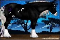 Horse Color:Nacre Chocolate Palomino Ice Pearl Dun Splash Appaloosa 