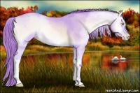 Horse Color:Watercolor Gold Champagne Roan Onyx 