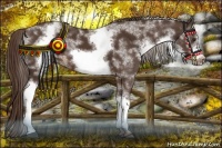 Horse Color:White Spotted Liver Chestnut Frame 