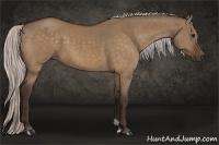 Horse Color:Silver Bay Dun