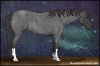 Horse Color:Smoky Blue Roan