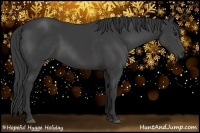 Horse Color:Smoky Black 