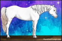 Horse Color:Chestnut Appaloosa 