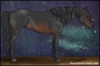 Horse Color:Brown 