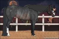 Horse Color:Brown Rabicano 