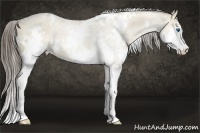 Horse Color:White Spotted Liver Red Dun Sabino Splash 